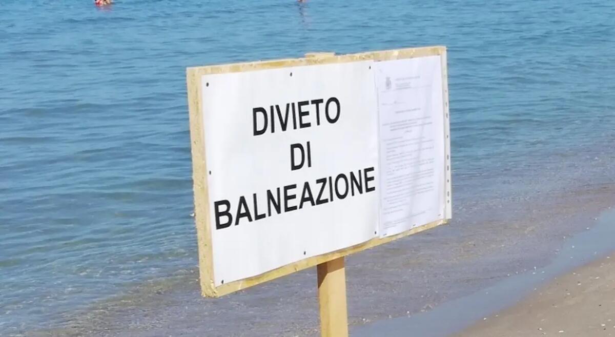 Acque contaminate in Friuli Venezia Giulia: bagni vietati e stop al consumo di molluschi. Dove - 