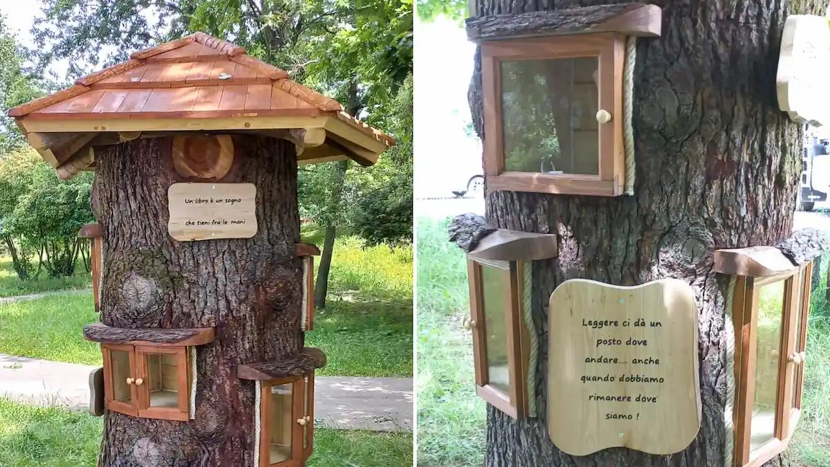 La magia della lettura, nasce in Friuli una libreria sull'albero. Ecco dove trovarla - 