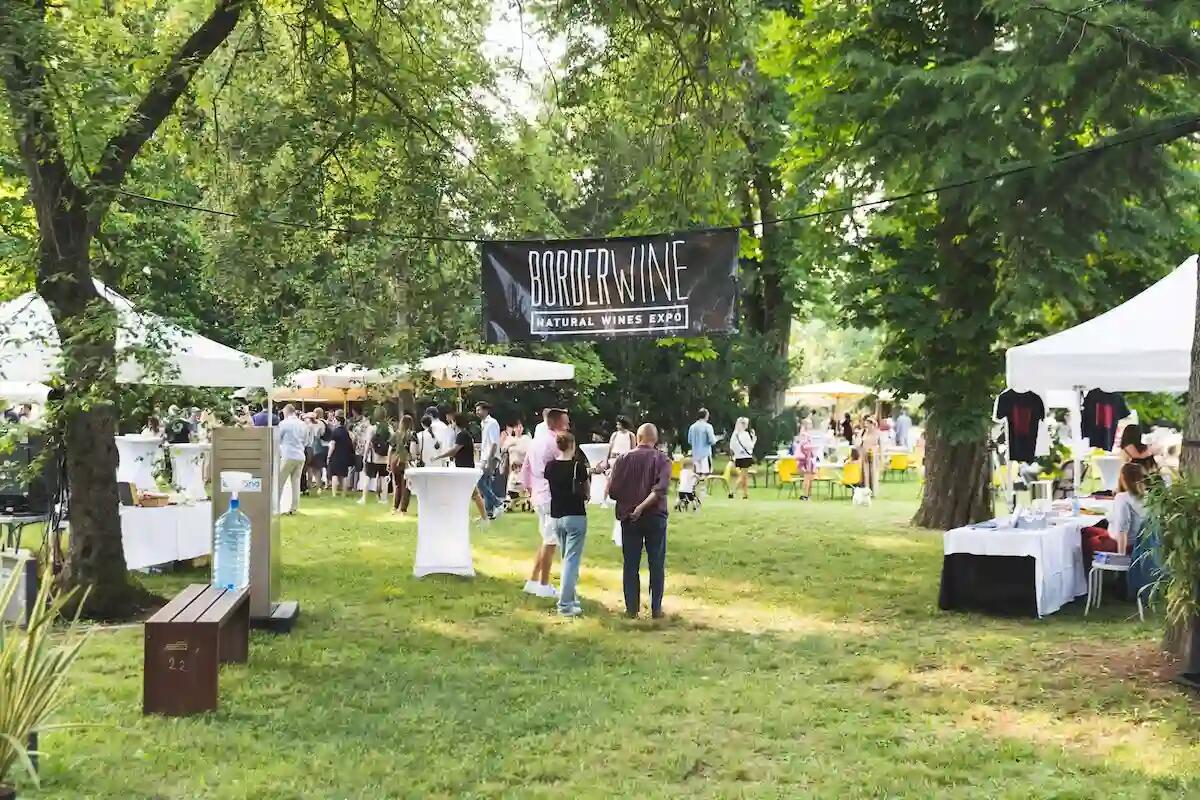 Borderwine 2024: quando il vino incontra la cultura. Domenica 16 e lunedì 17 giugno - 