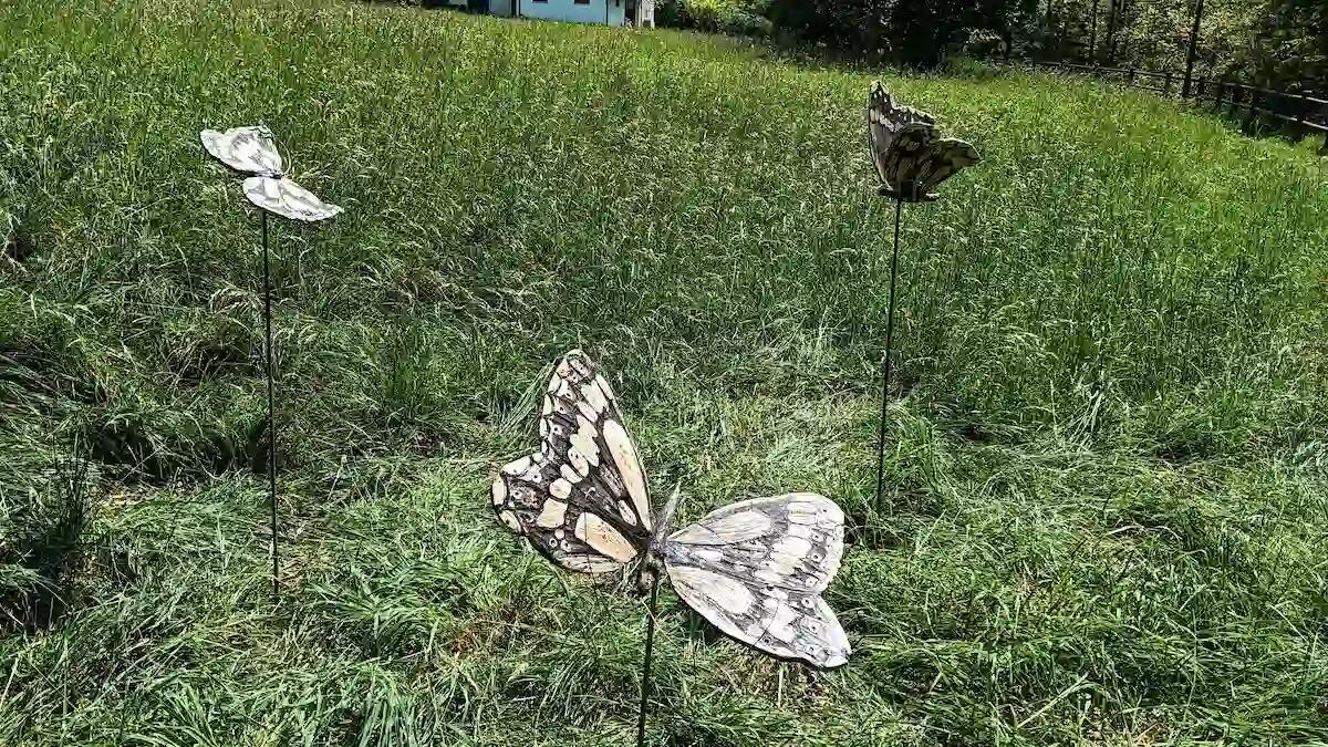 Claut invita a diventare scultori per un giorno: scopri l'arte della ceramica - 