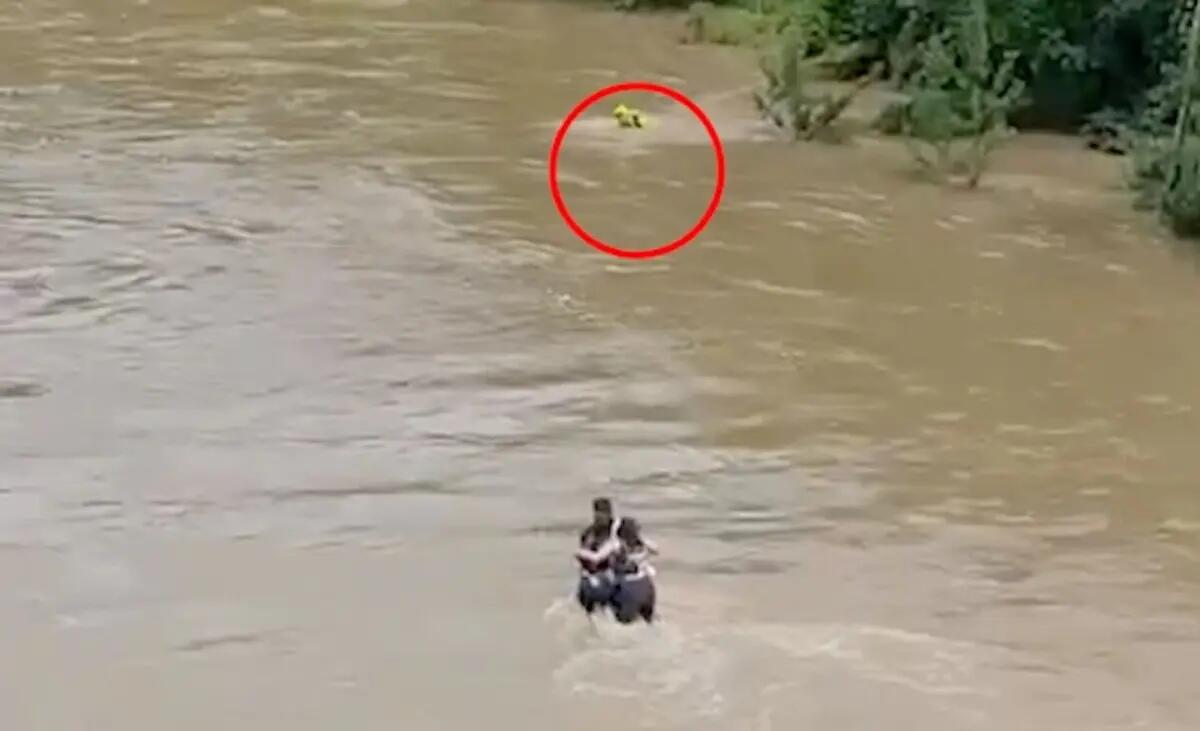 Tragedia del Natisone, così il pompiere ha tentato di salvare i 3 giovani. Il video - 