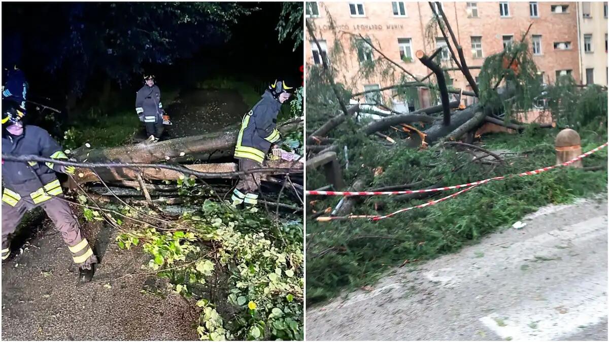 Ancora maltempo in Friuli: 250 gli interventi dei vigili del fuoco. Dove - 