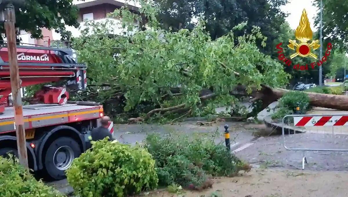 Maltempo in Friuli Venezia Giulia, ancora richieste di intervento ai pompieri. La situazione - 