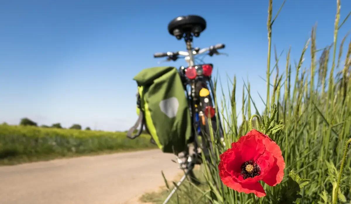 8 posti da visitare in bicicletta in Veneto a luglio - 