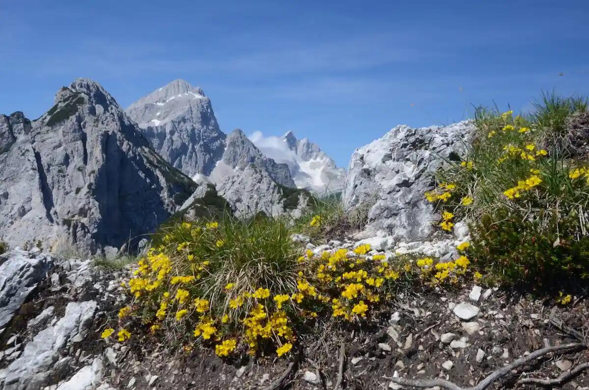 Unesco riconosce la Riserva transfrontaliera delle Alpi Giulie tra Friuli e Slovenia - 