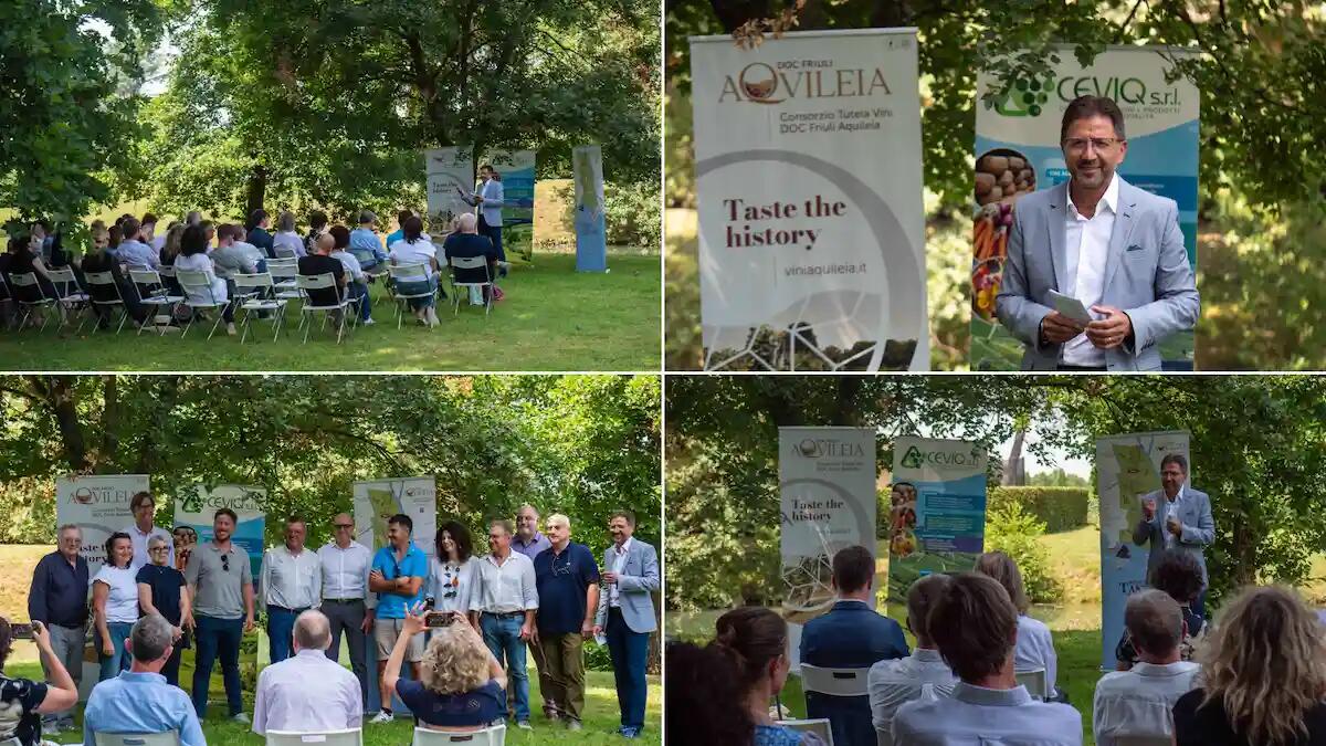 61°selezione del Vino DOC Aquileia 2024: ecco chi sono i vincitori -