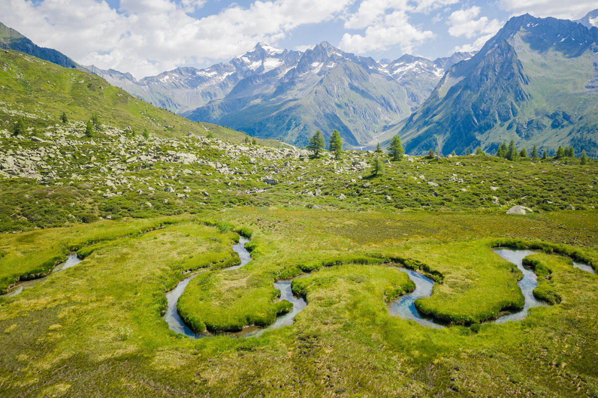 Bagno nella foresta e biotopo Wieser Werfer a Valle Aurina -