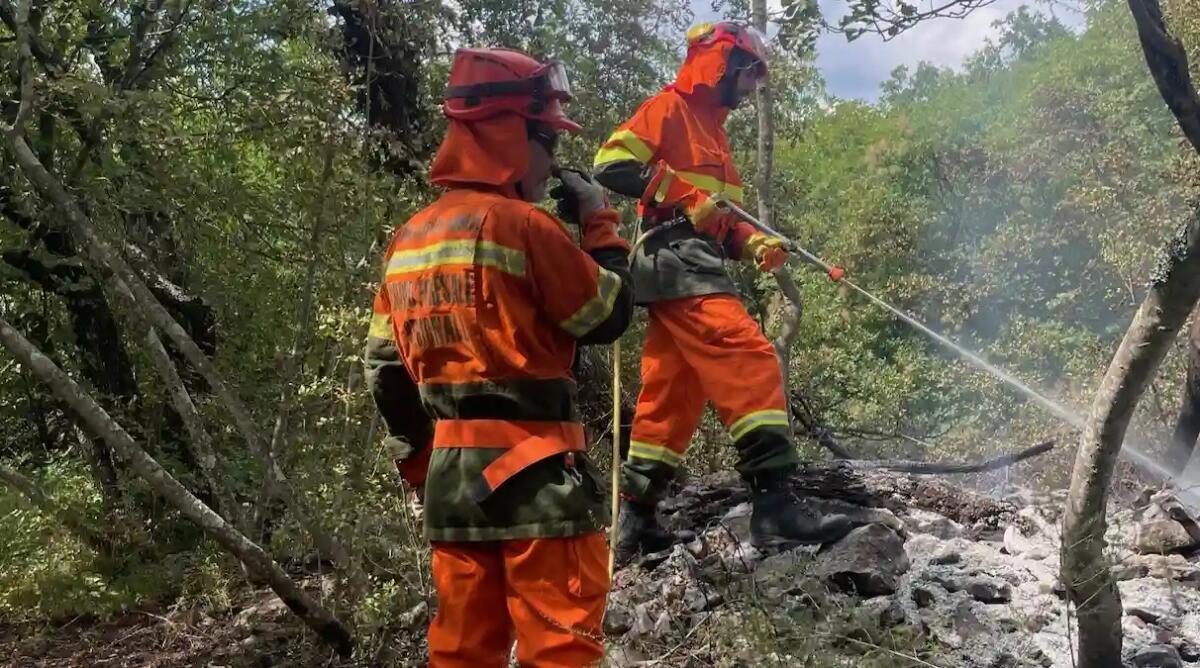 Incendio a Gabrovizza di Sgonico: 3mila metri quadrati di bosco distrutti - 