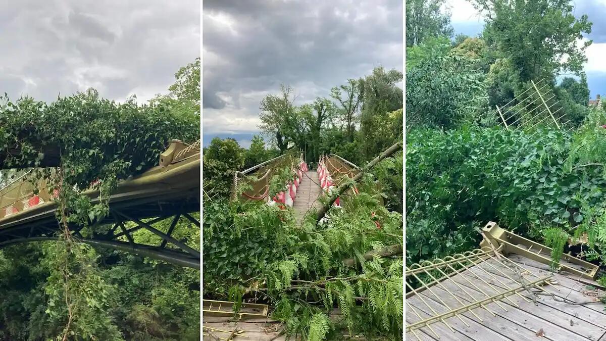 Maltempo, a Sacile rami e piante a terra. Un'albero piomba sulla passerella ciclo-pedonale - 