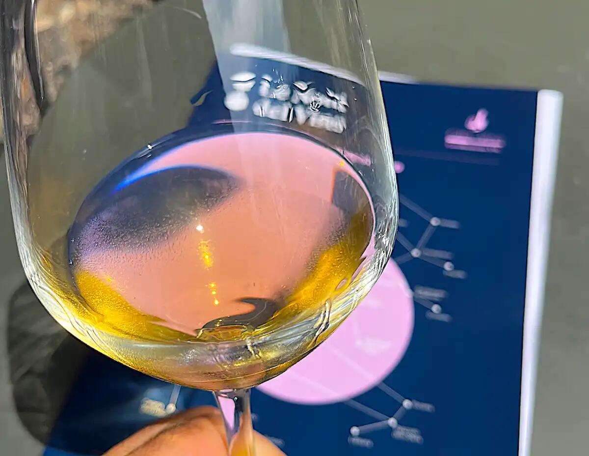 San Giovanni al Natisone: il Parco di Villa de Brandis ospita "Le Notti del Vino" - 