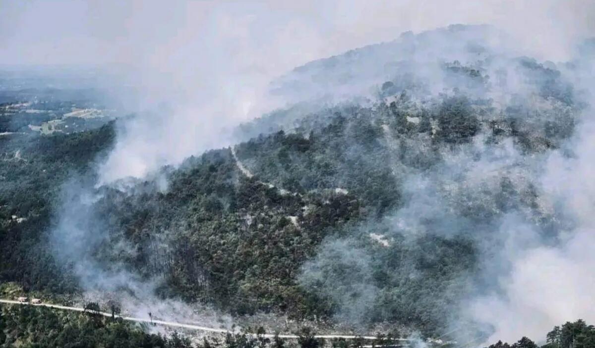 Incendio sul Carso: fiamme sotto controllo grazie a 400 vigili del fuoco - 