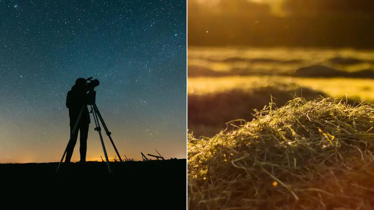 Riserva di Cornino, profumo di fieno sul monte Prat e serata dedicata alle stelle - 