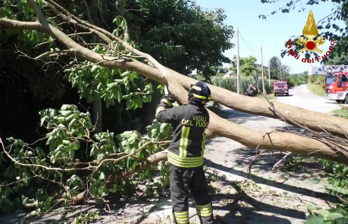 Maltempo sull’Isontino: 70 interventi dei pompieri già eseguiti, altre decine in coda - 