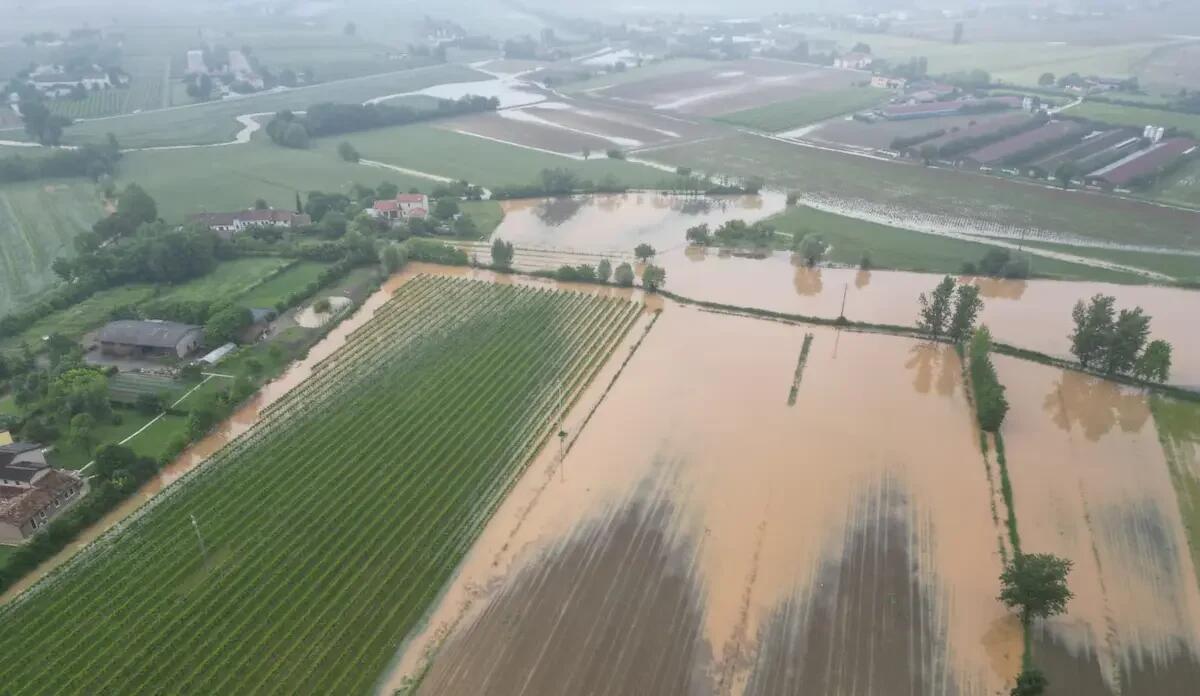 Maltempo nel Bellunese: crisi agricola per la fienagione -