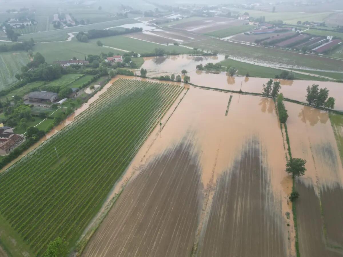 Maltempo, agricoltura: «danni per 1,5 milioni di euro nella provincia di Vicenza» -