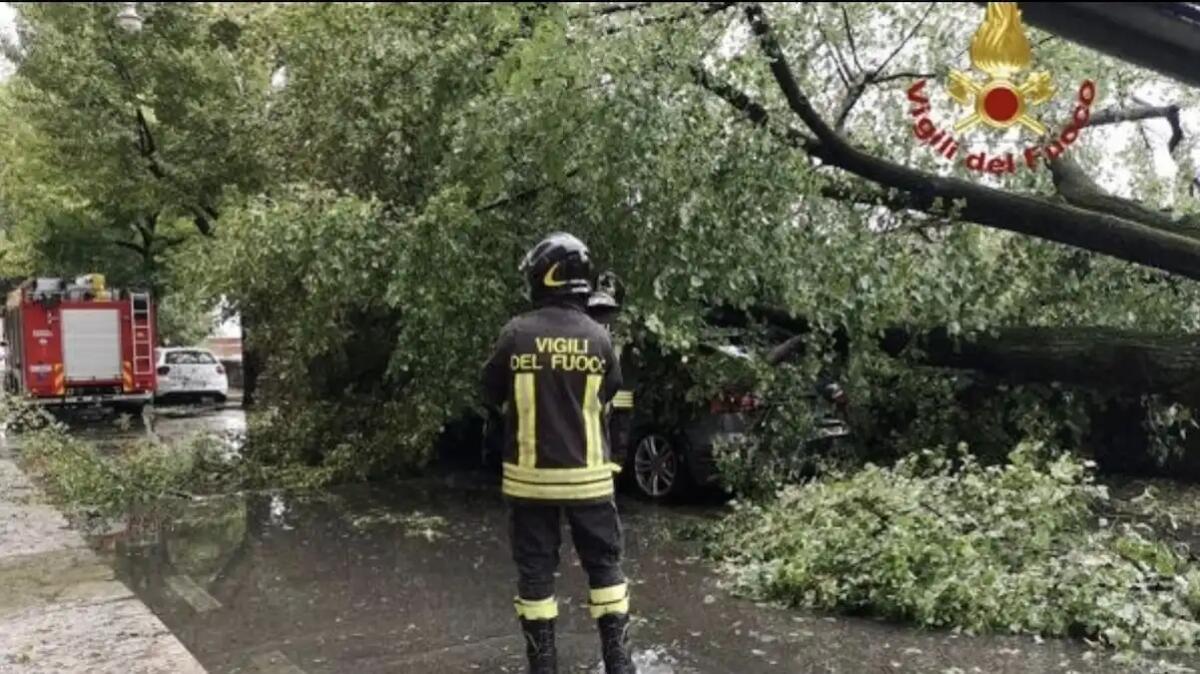 Maltempo nel Trevigiano: alberi a terra e danni da fulmini. Già 120 interventi dei pompieri - 