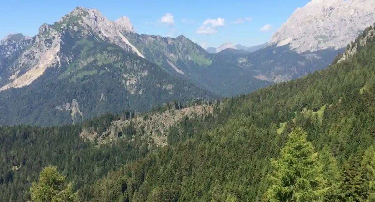 Il Consorzio Boschi Carnici affida nuovi incarichi professionali - 