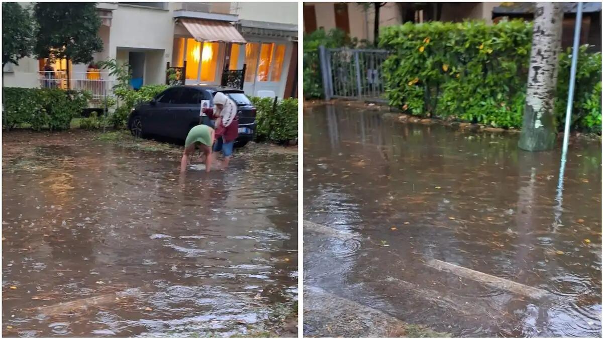 Nubifragio a Lignano e Bibione: strade allagate, alberi e rami a terra - 