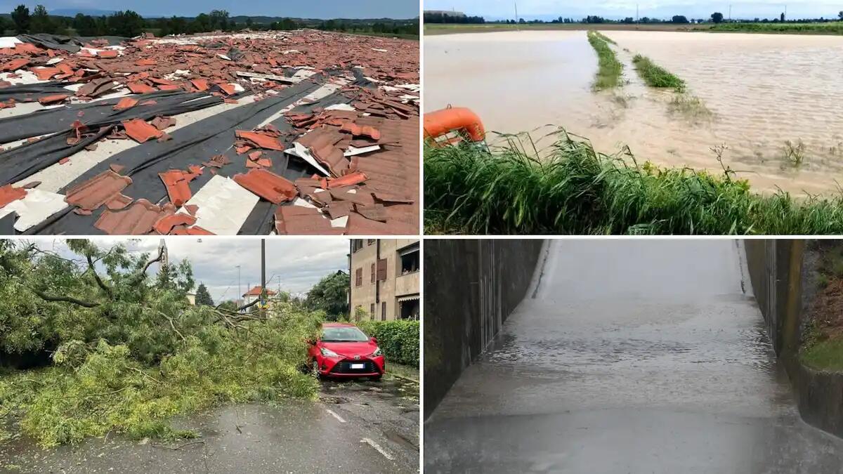 Emergenza maltempo in Friuli: alberi a terra, allagamenti e case scoperchiate - 