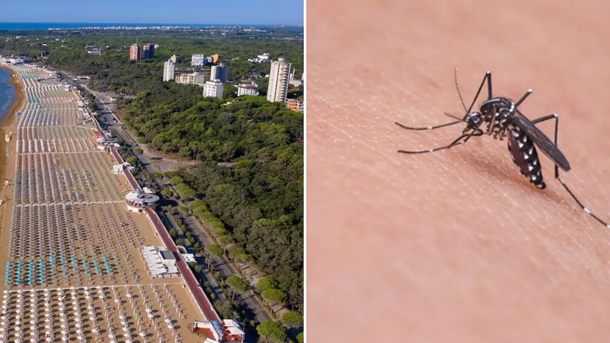 Virus West Nile, nuovo caso a Lignano: parte la disinfestazione. L'Ordinanza | PDF - 