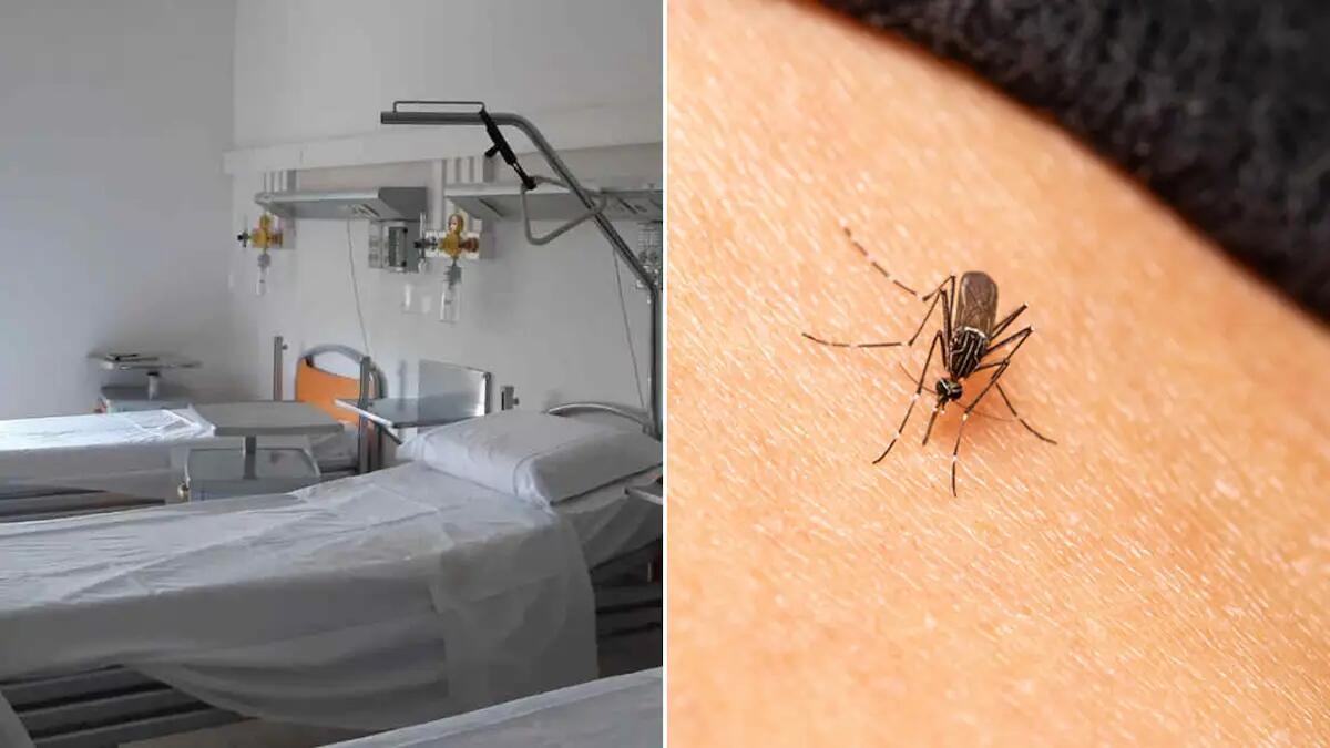 Febbre alta al rientro dai Caraibi: ricoverata per Dengue una 21enne. Scatta la disinfestazione - 