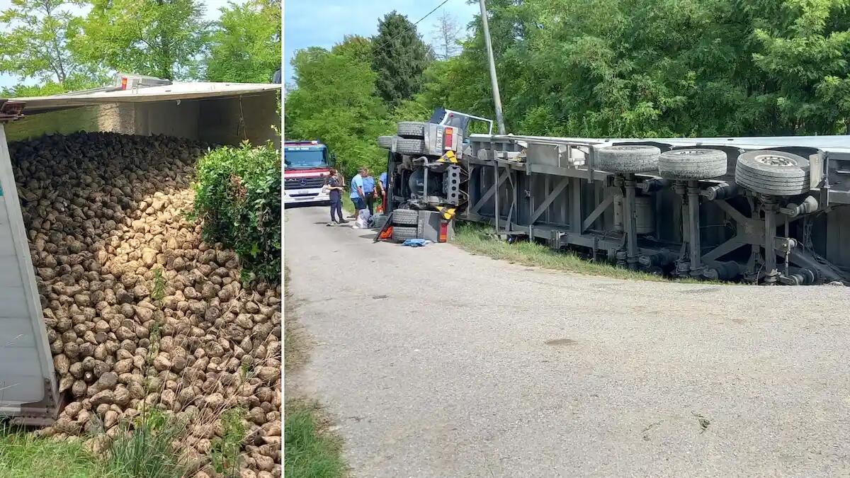 Camion di barbabietole si ribalta nel fosso a Torre di Mosto: ferito l'autista, elitrasportato - 