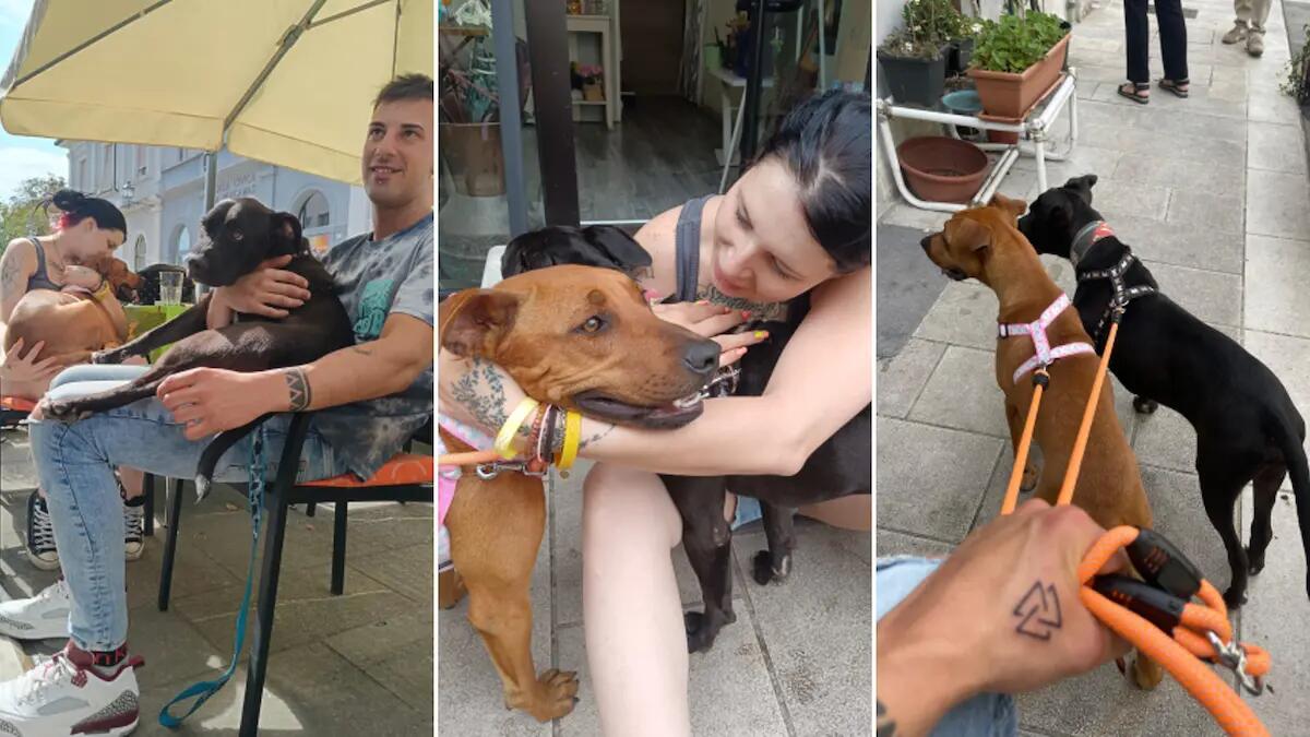 Dalla Sicilia al Friuli: Eros e Kasia trovano una nuova famiglia dopo i maltrattamenti - 