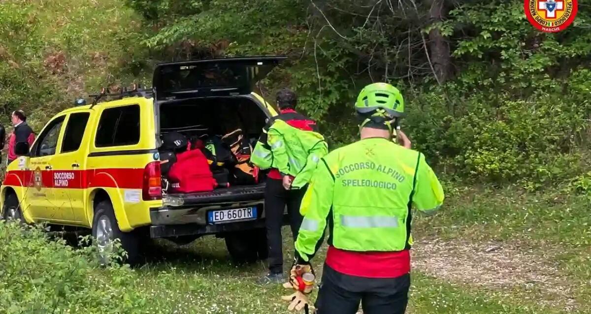 Incidente in pista forestale a Forni di Sopra: donna soccorsa - 
