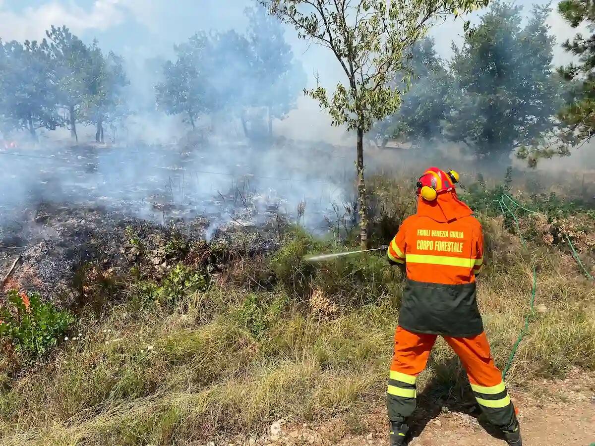Monfalcone, incendio in località Forcate: fiamme domate, al via la bonifica - 