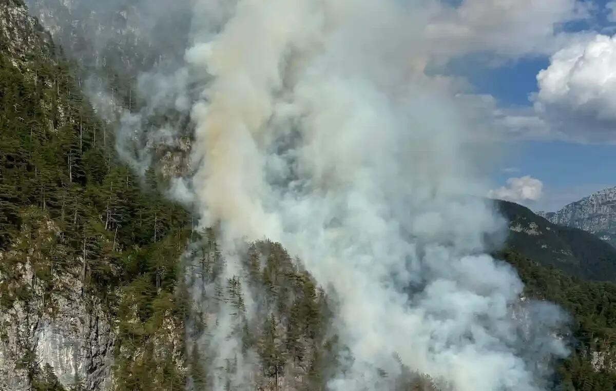 Incendio boschivo a Moggio Udinese: di nuovo in lotta contro le fiamme - 