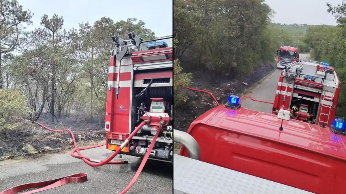 Incendio boschivo a Doberdò del Lago: fiamme domate da pompieri e protezione civile - 