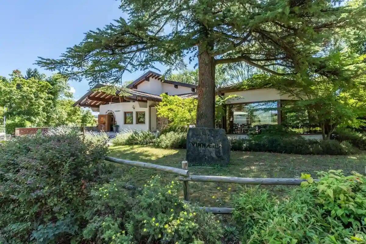 Viaggio tra i vini austriaci dai vigneti curati dai Vine Master Pruners Simonit&amp;Sirch - 