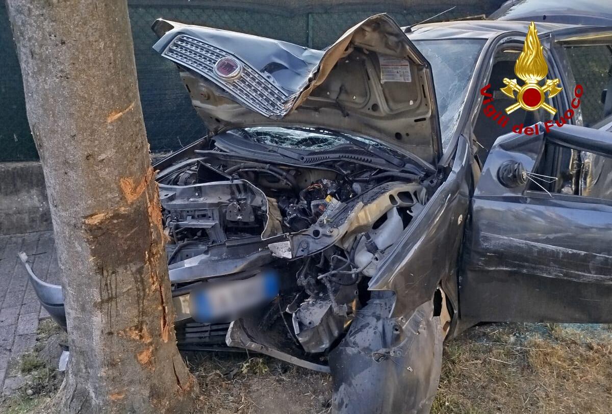 L'auto piomba contro un albero: papà, mamma e 2 bimbi gravissimi all'ospedale - 