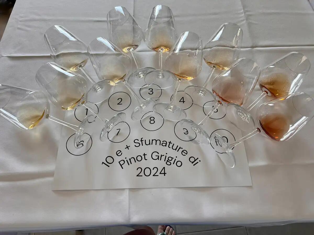 Sequals: 10 e più sfumature di Pinot Grigio in una notte di vino e musica - 