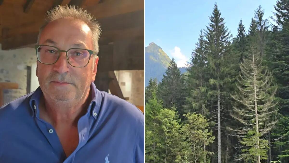 I 150 anni del Consorzio Boschi Carnici - 