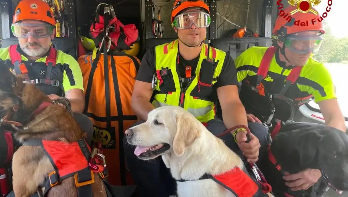 Rurik, Maya, Lamù e Nikita: così si addestrano in volo i cani soccorritori | VIDEO - FOTO - 