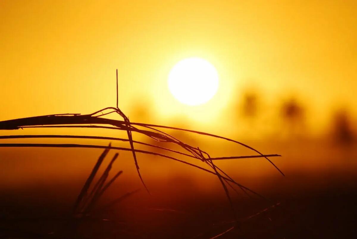 Nordest soffocante: «l'ondata di caldo persisterà almeno fino all'8 settembre 2024» - 