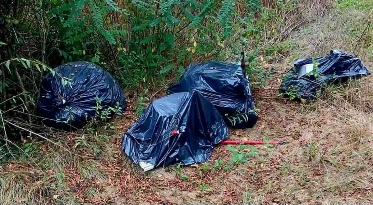 Sacchi neri con rifiuti scaricati in un prato a Basaldella. Scattano le indagini - 