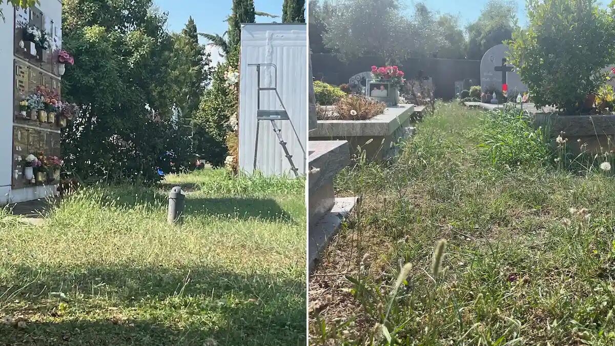 Udine, cimitero San Vito: «scarsa manutenzione e mancanza di sensibilità verso i familiari» - 