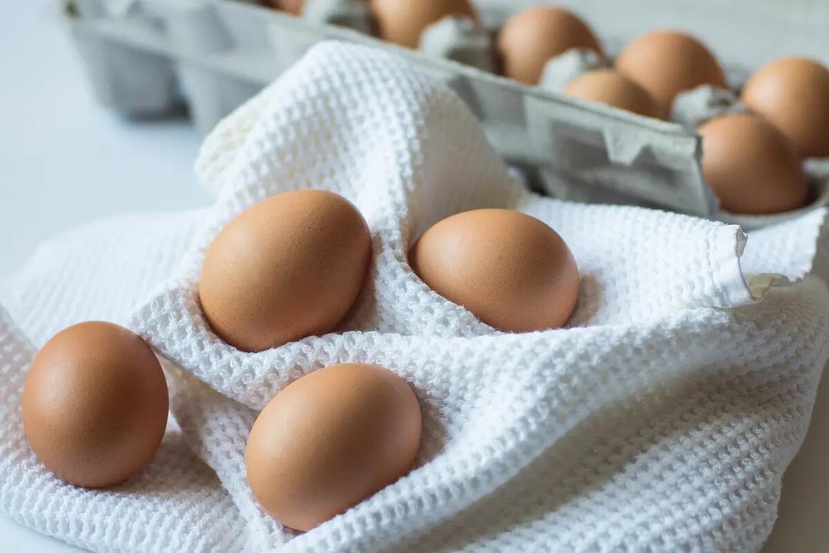 Rischio salmonella, ritirati 28 lotti di uova: i marchi interessati -