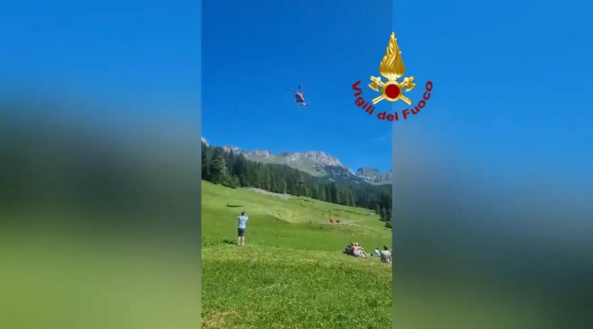 Falcade, recuperati con l’elicottero due cavalli caduti in un dirupo | VIDEO - 