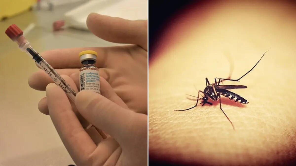 Friuli, c'e' l'ok dalla Giunta: «ora vaccinazione gratuita contro la Dengue» - 