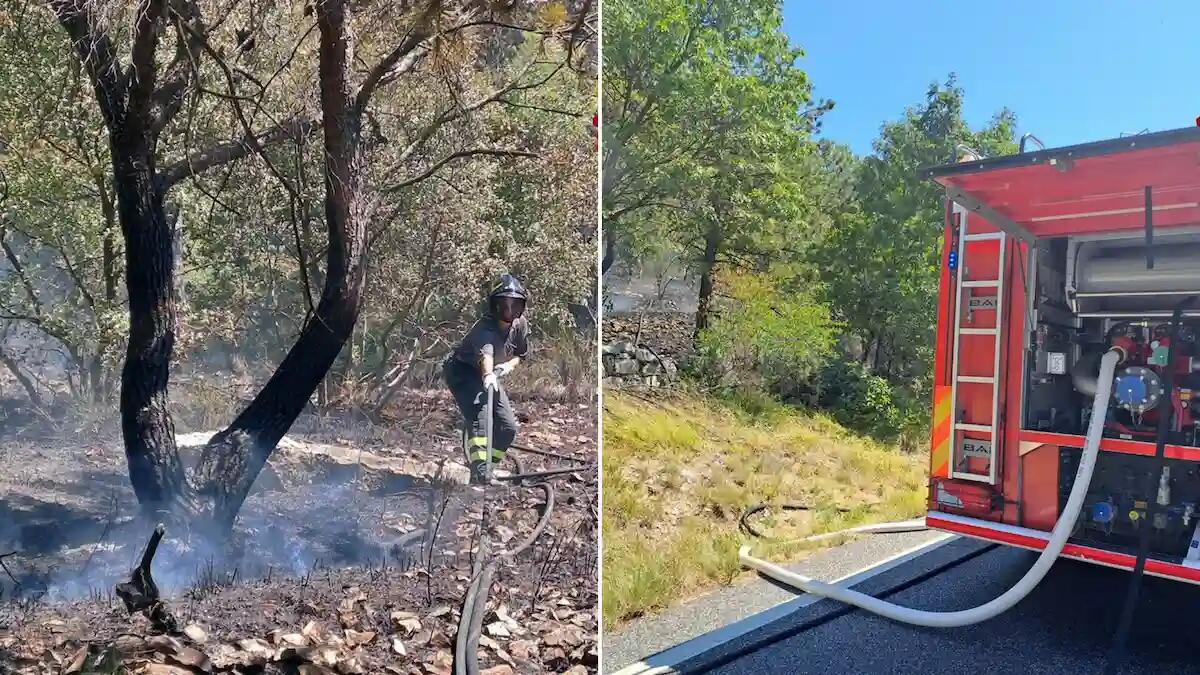 Incendio boschivo sul Carso: proseguono le operazioni di bonifica dopo il rogo di ieri - 