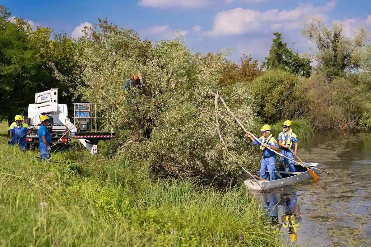 Esercitazione "Fiume 2024": prevenzione e gestione degli eventi meteorologici avversi - 
