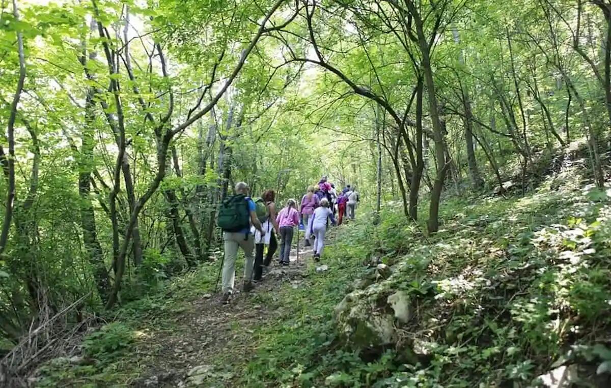 Porzus: un'escursione tra natura e sapori autentici. Quando e dove - 