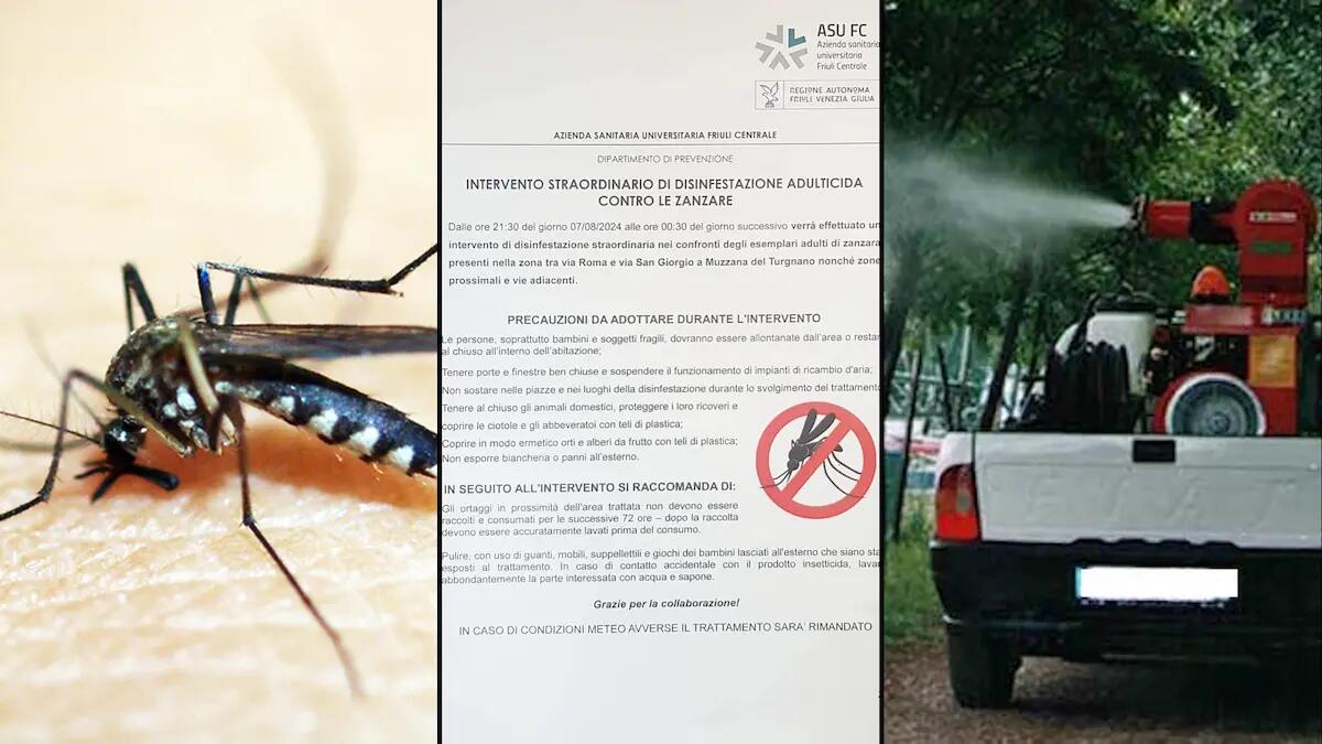 A Muzzana del Turgnano confermati due casi di West Nile Virus: scatta la disinfestazione - 