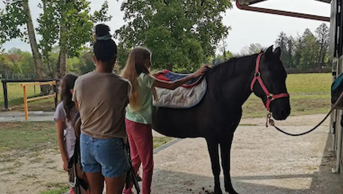Porcia, il centro di rieducazione equestre "Anche noi a Cavallo" si amplia - 