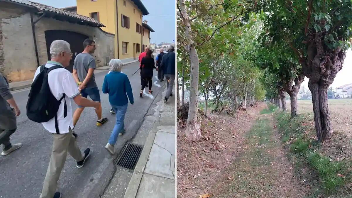 A Basiliano '10mila passi di Salute': cammina tra storia e natura - 