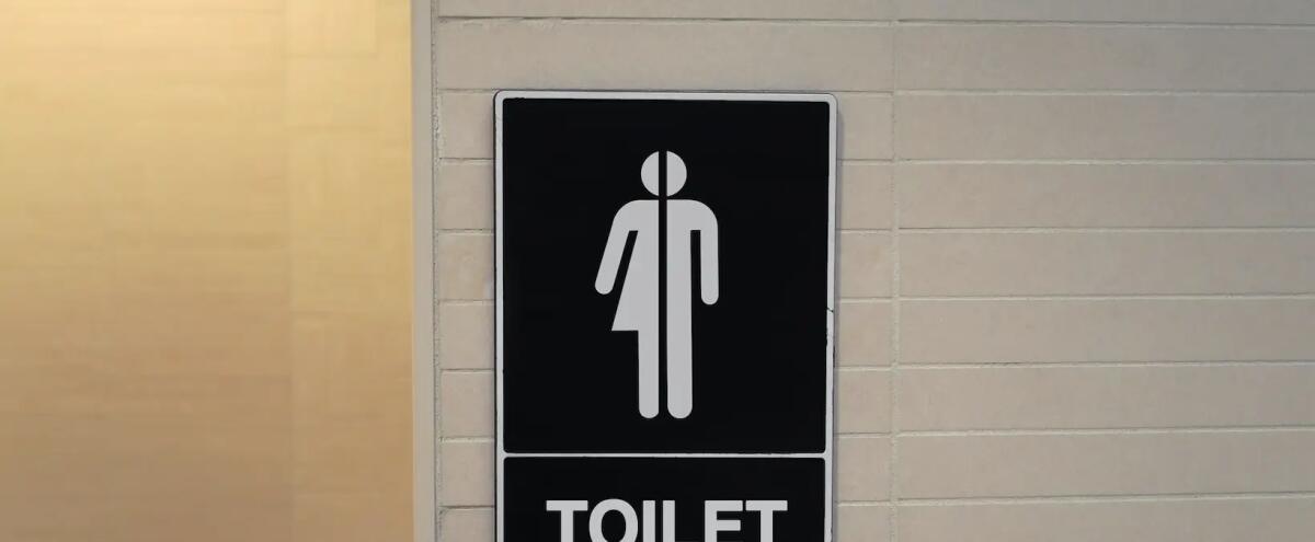 A scuola arrivano i bagni no-gender e scoppia la polemica con la Regione: «solo propaganda» - 