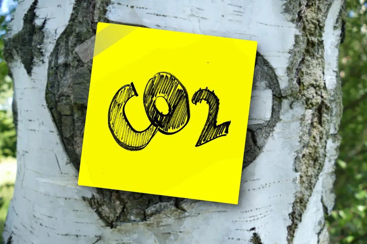 A Nordest le banche diventano “green” abbattendo costi energetici ed emissioni di Co2 -